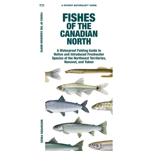 Fishes of the Canadian North: A Folding Guide to Native and Introduced Freshwater Species of the Northwest Territories, Nunavut and Yukon