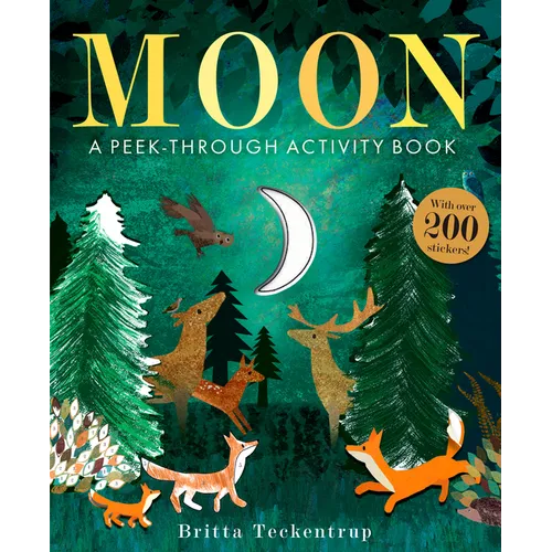Moon: A Peek-Through Activity Book: With Over 200 Stickers