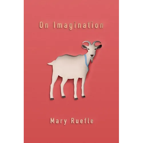 On Imagination