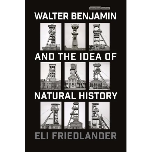 Walter Benjamin and the Idea of Natural History