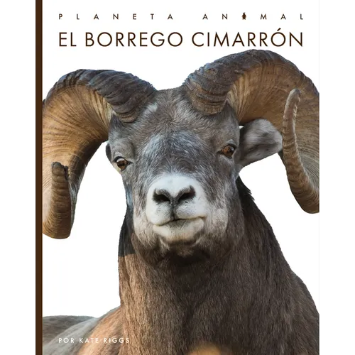 El Borrego Cimarrón