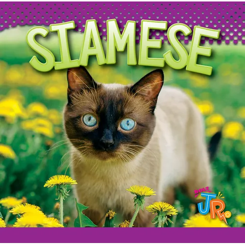 Siamese
