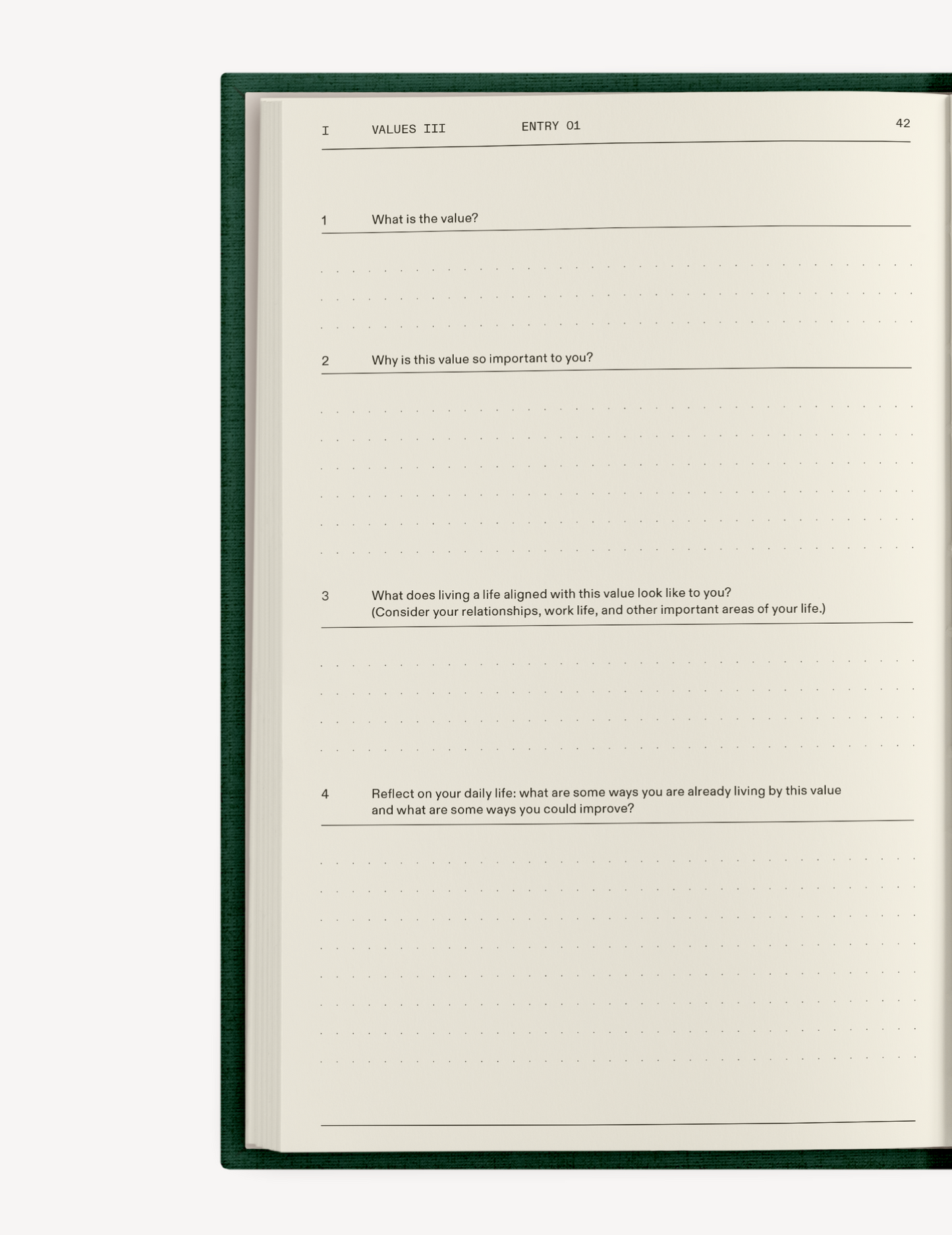 The Field Guide for Depression Therapy Notebook