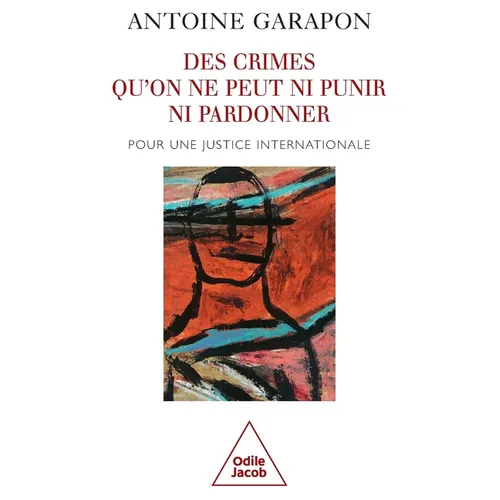 Des crimes qu'on ne peut ni punir ni pardonner: Pour une justice internationale