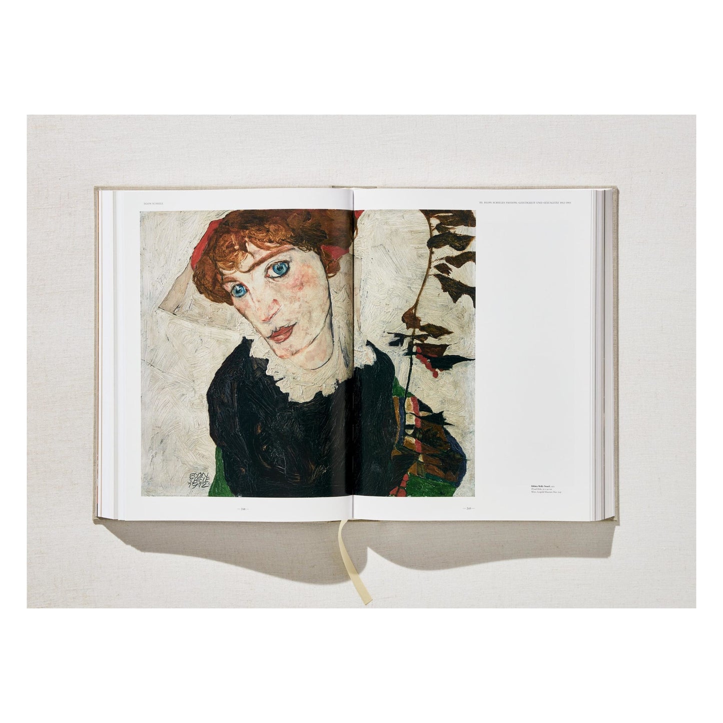 Egon Schiele. The Complete Paintings 1909–1918 (English) Book
