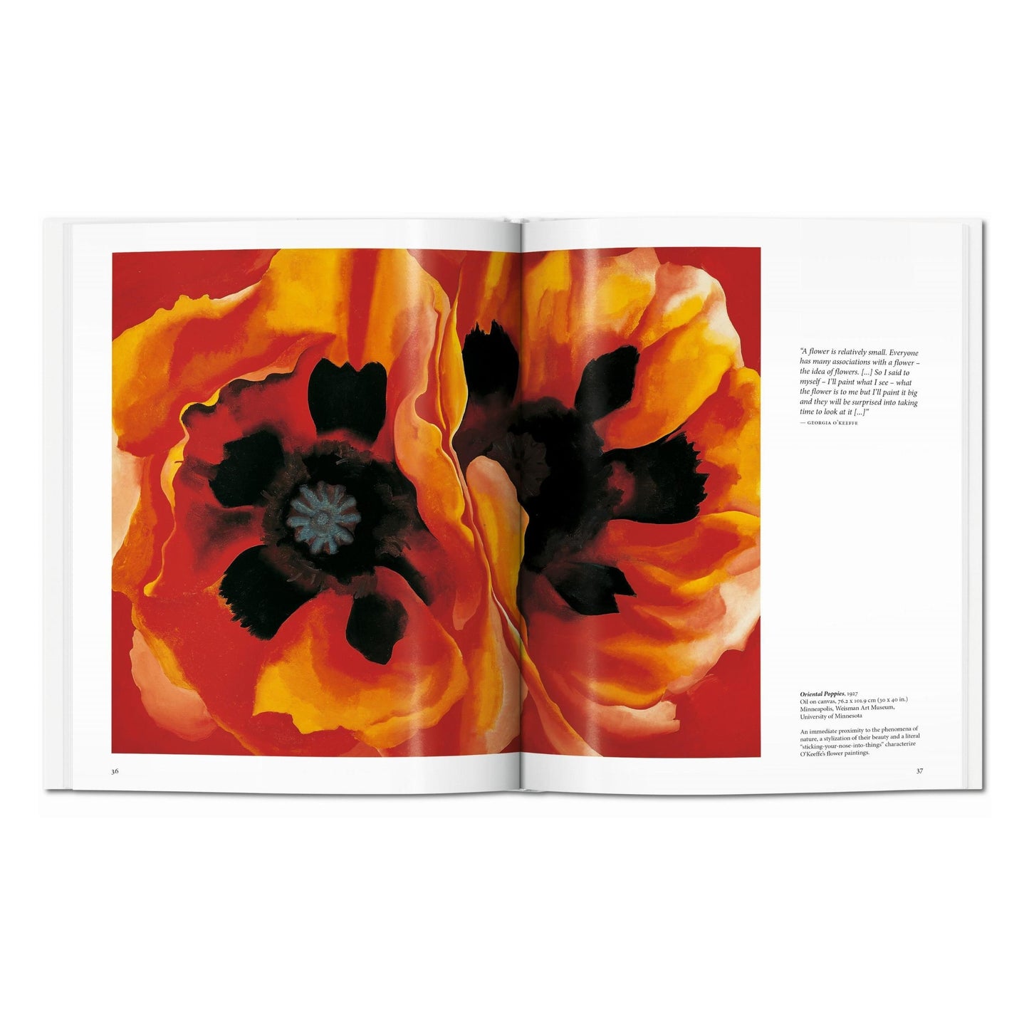 O'Keeffe (English) Book