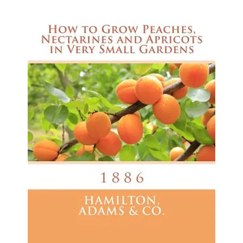 How to Grow Peaches, Nectarines and Apricots in Very Small Gardens: 1886