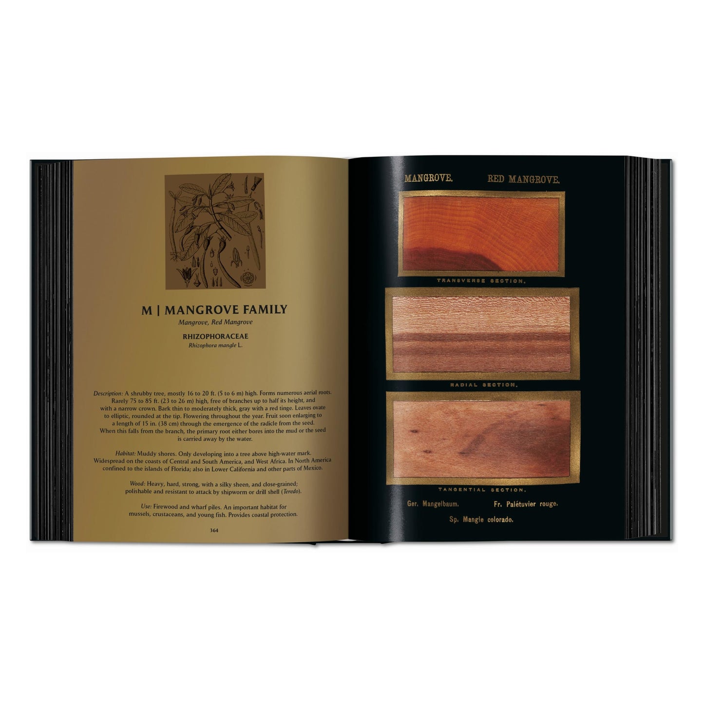 Romeyn B. Hough. The Woodbook. The Complete Plates (English) Book