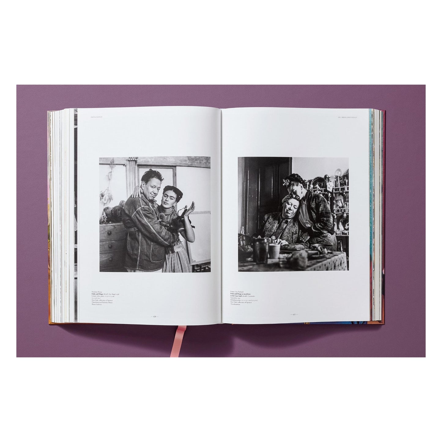 Frida Kahlo. The Complete Paintings (English) Book