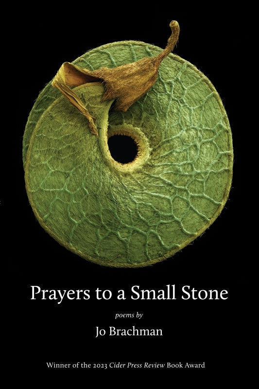 Prayers to a Small Stone Book