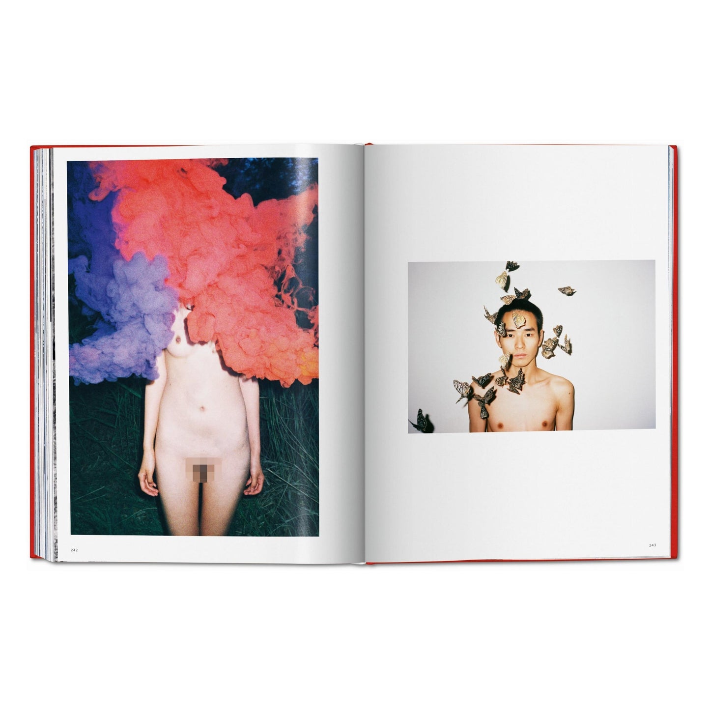 Ren Hang (German, French, English) Book