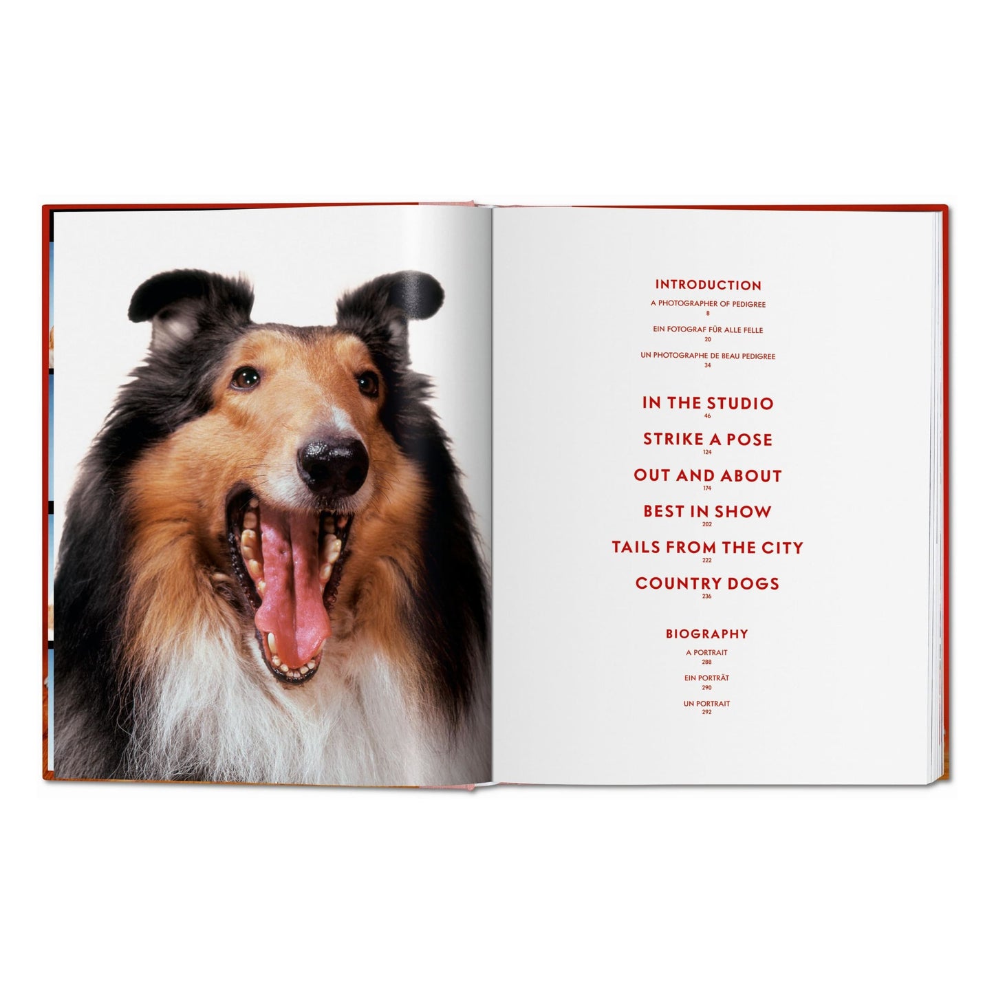 Walter Chandoha. Dogs. Photographs 1941–1991 (German, French, English) Book