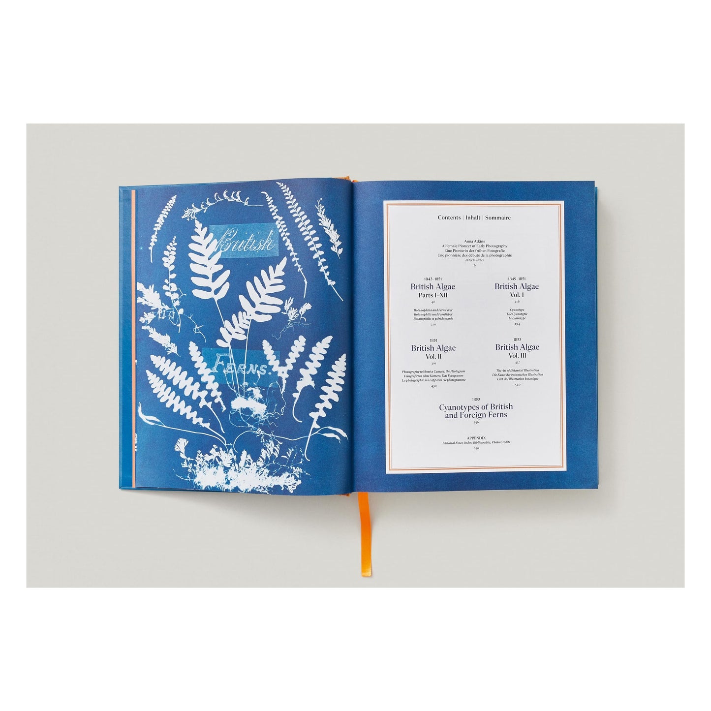 Anna Atkins. Cyanotypes (German, French, English) (FFE) Book