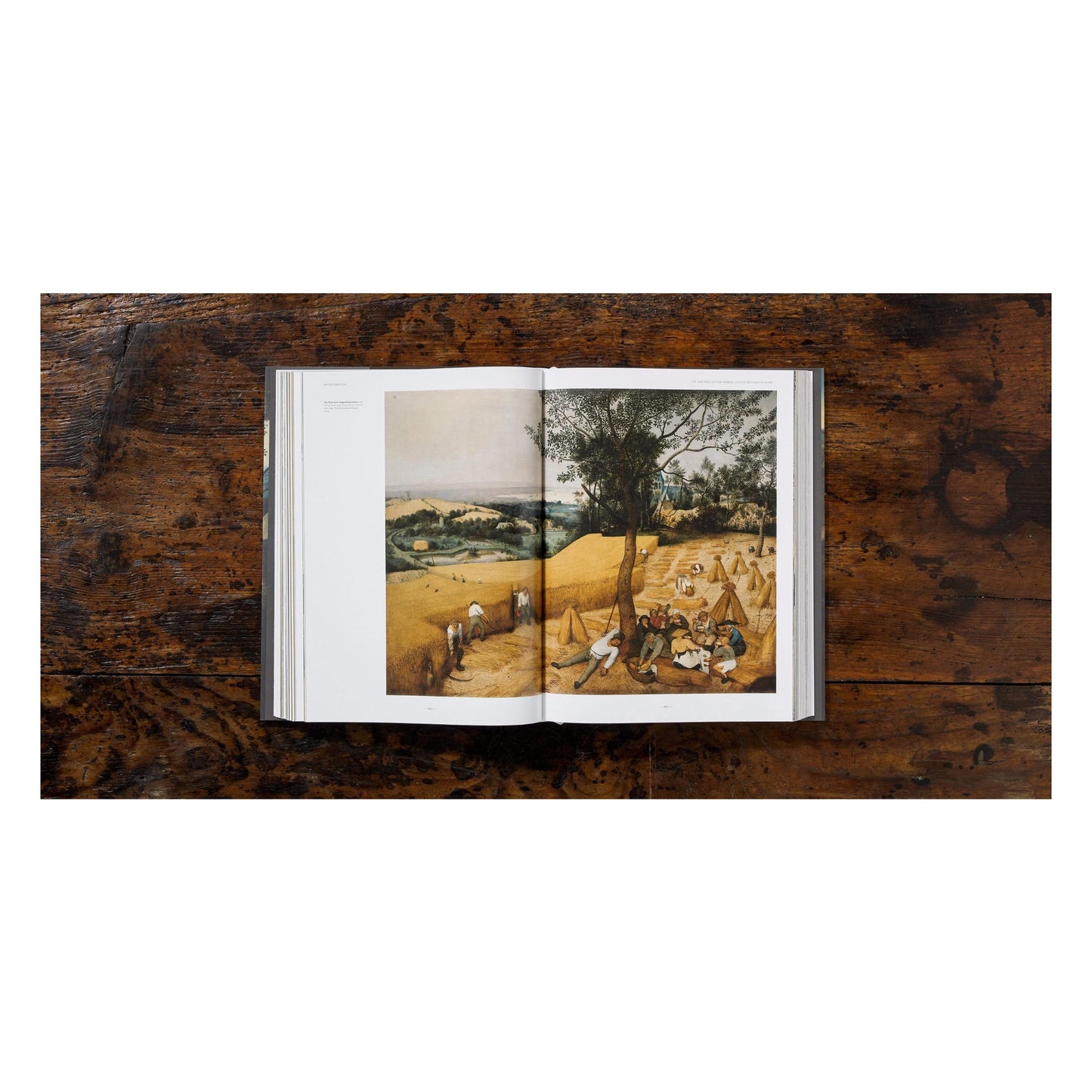 Bruegel. The Complete Works (English) Book