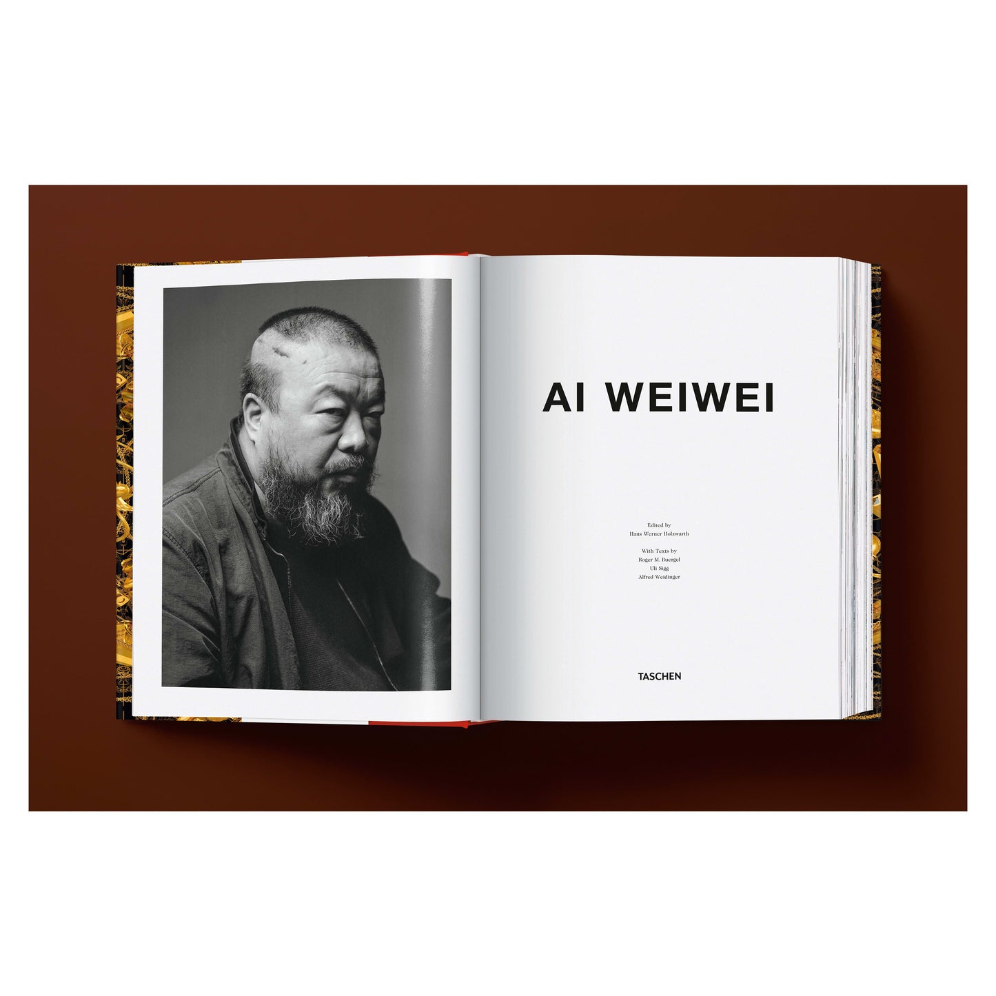 Ai Weiwei. Updated Edition (German, French, English) Book