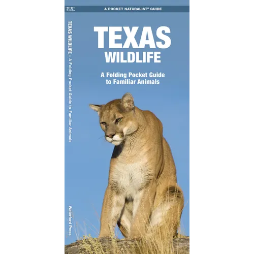 Texas Wildlife: An Introduction to Familiar Species
