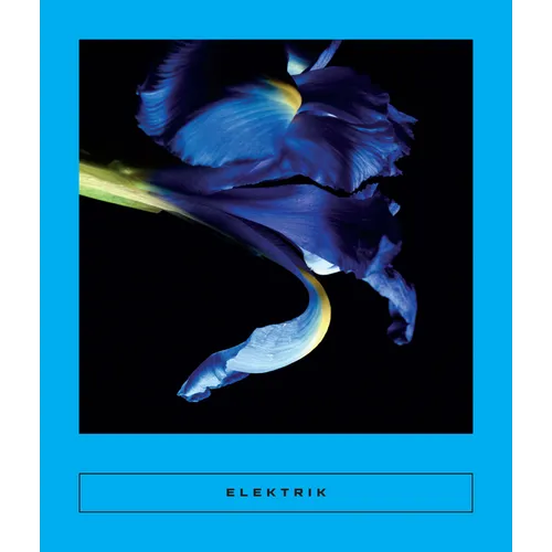 Elektrik: Caribbean Writing