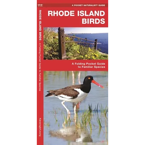 Rhode Island Birds: A Folding Pocket Guide to Familiar Species