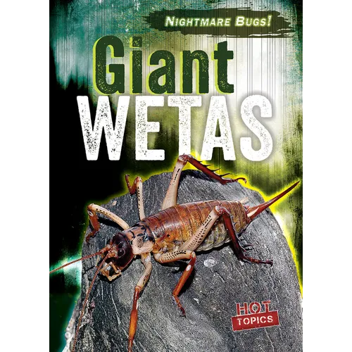 Giant Wetas