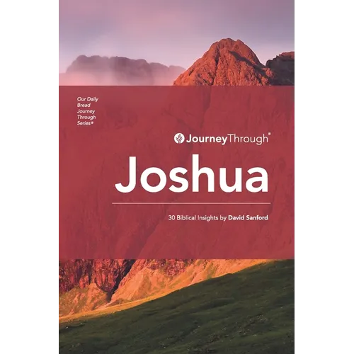 Journey Through Joshua: 30 Biblical Insights by David Sanford