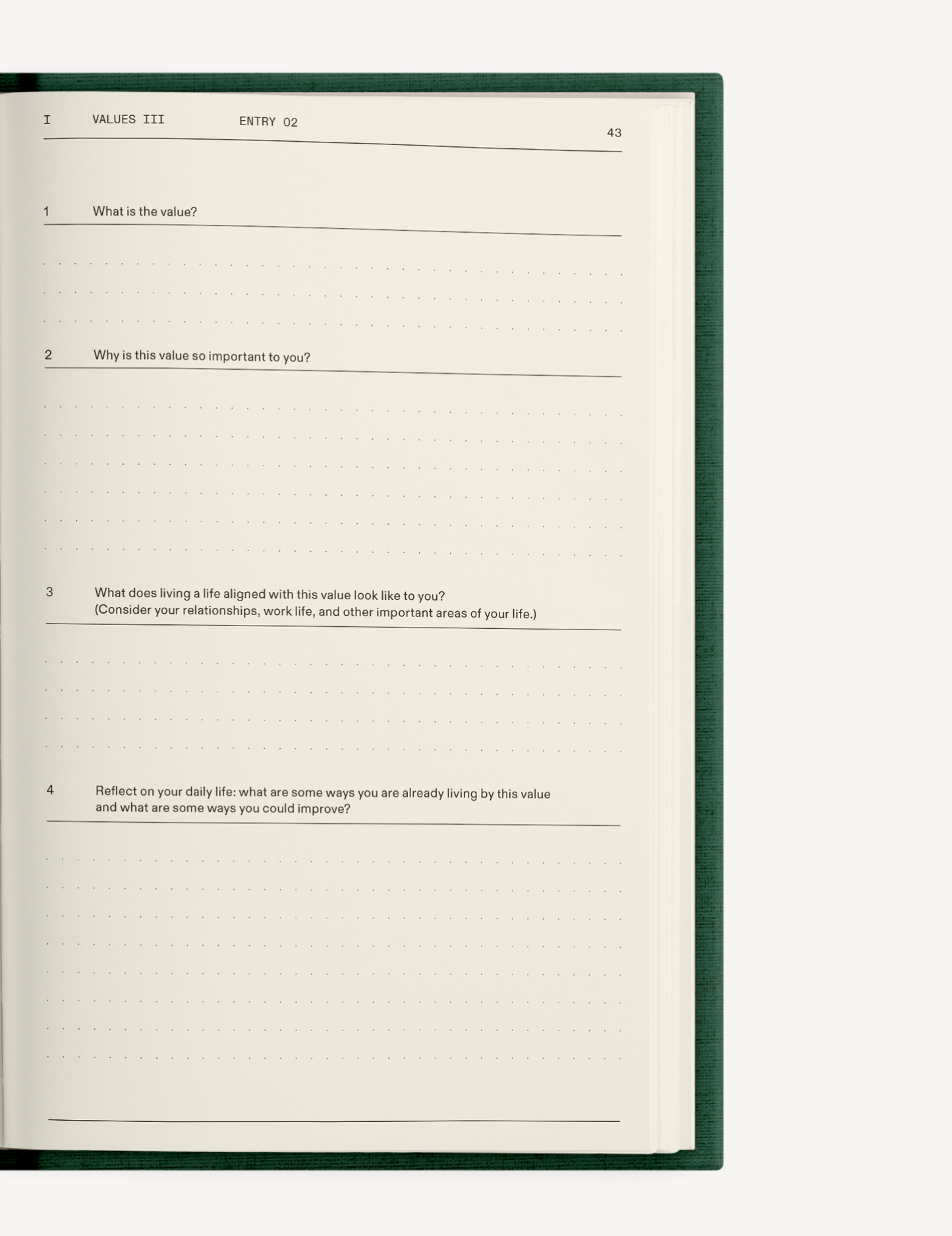 The Field Guide for Depression Therapy Notebook