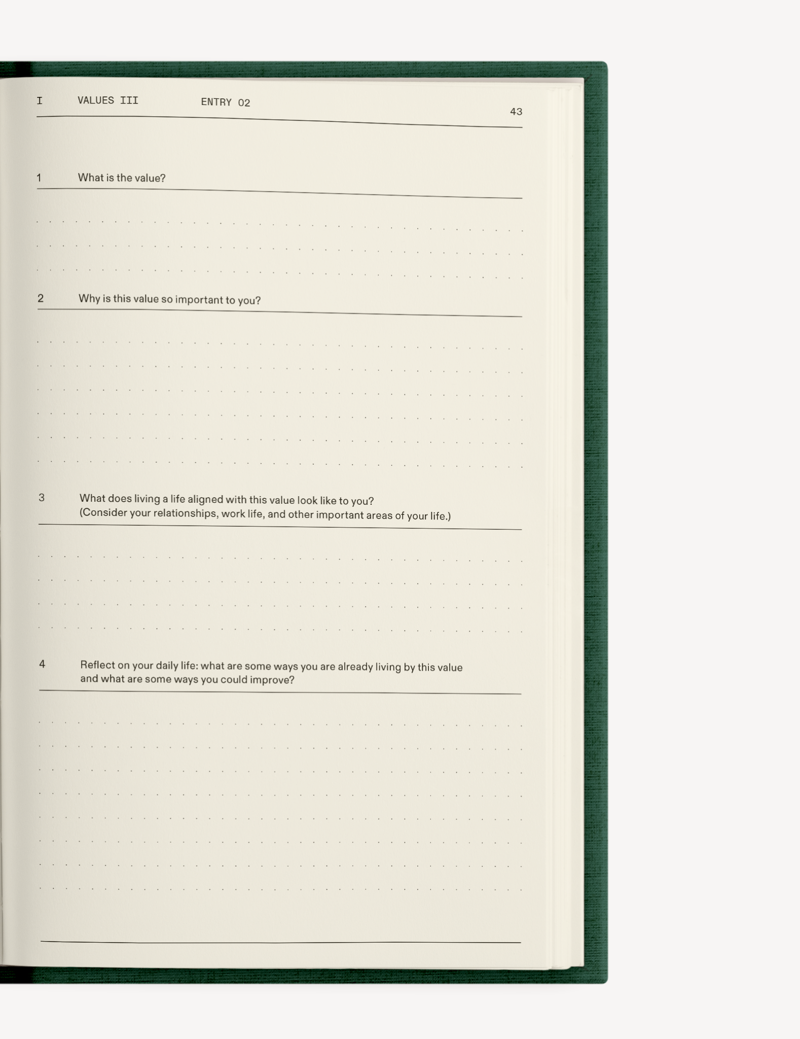The Field Guide for Depression Therapy Notebook