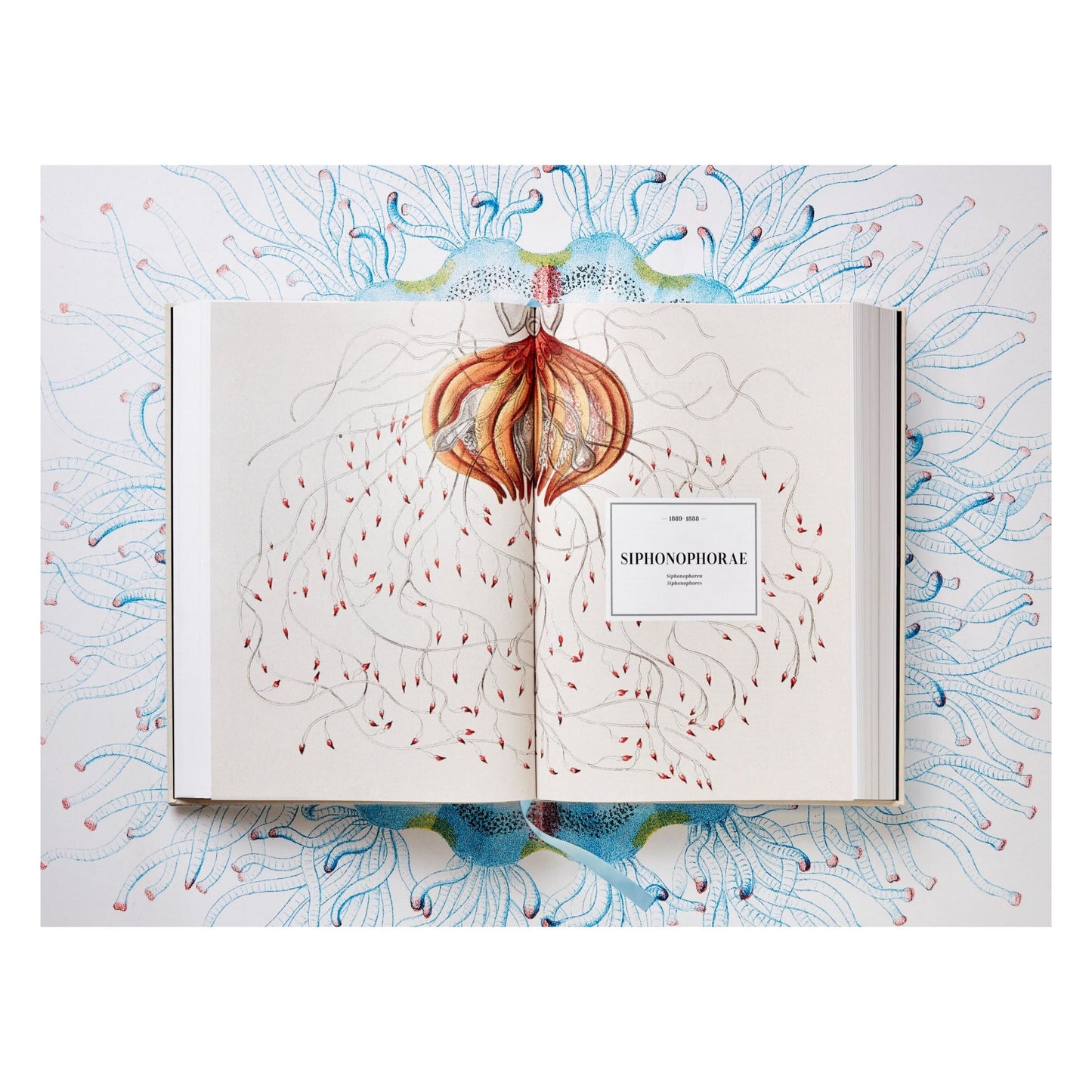 The Art and Science of Ernst Haeckel (German, French, English) Book