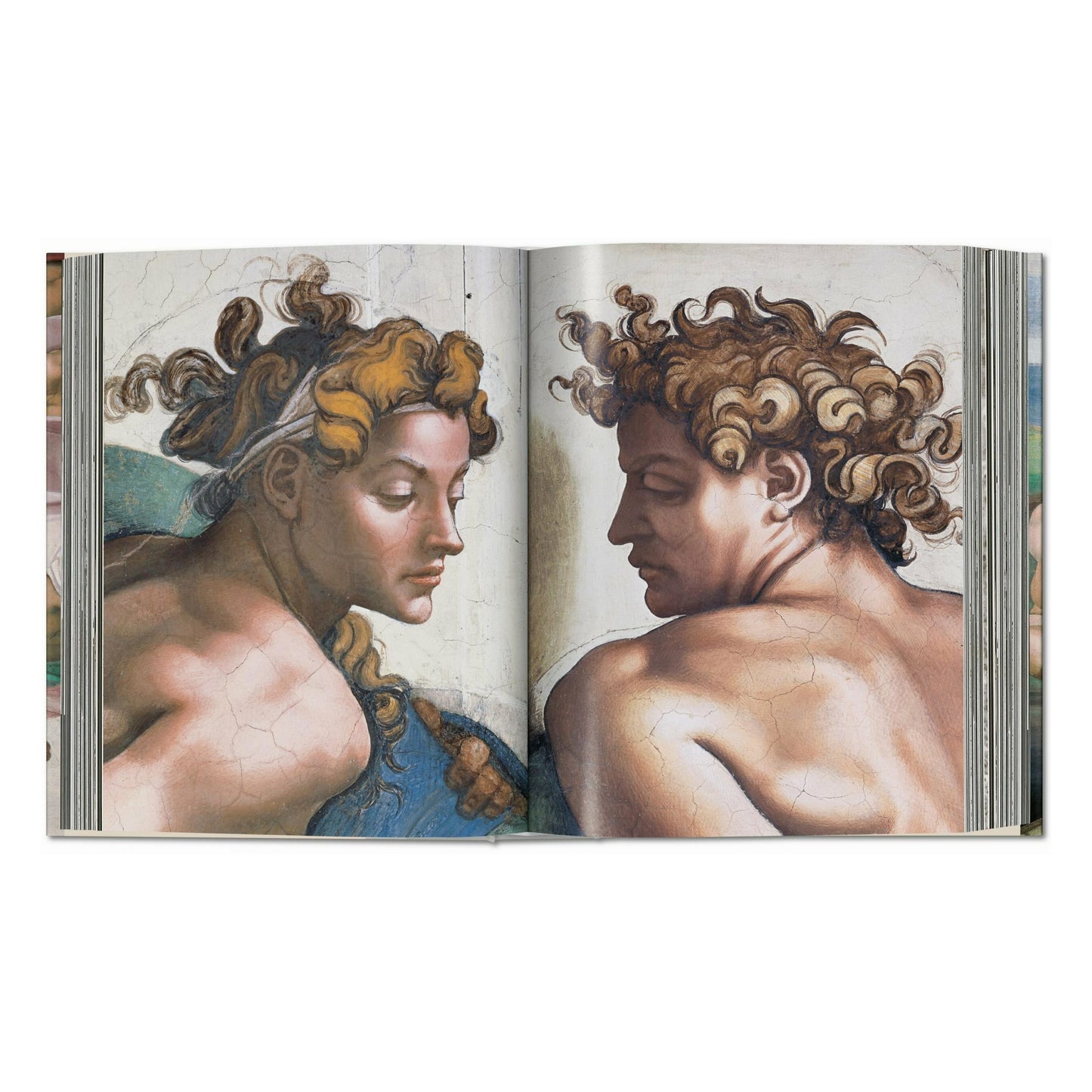 Michelangelo. The Complete Works. Paintings, Sculptures, Architecture (English) Book