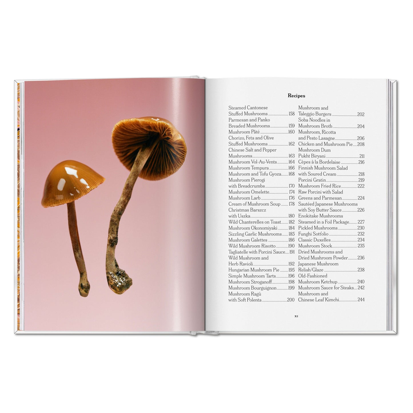 The Gourmand's Mushroom. A Collection of Stories and Recipes (English) Book