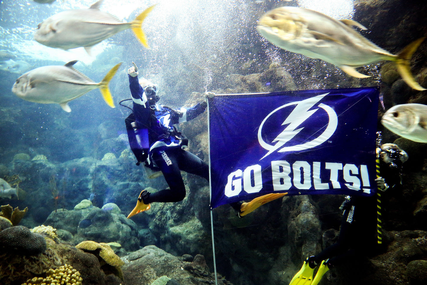 THUNDERSTRUCK: The Tampa Bay Lightning’s 2020 Stanley Cup Championship Season Book