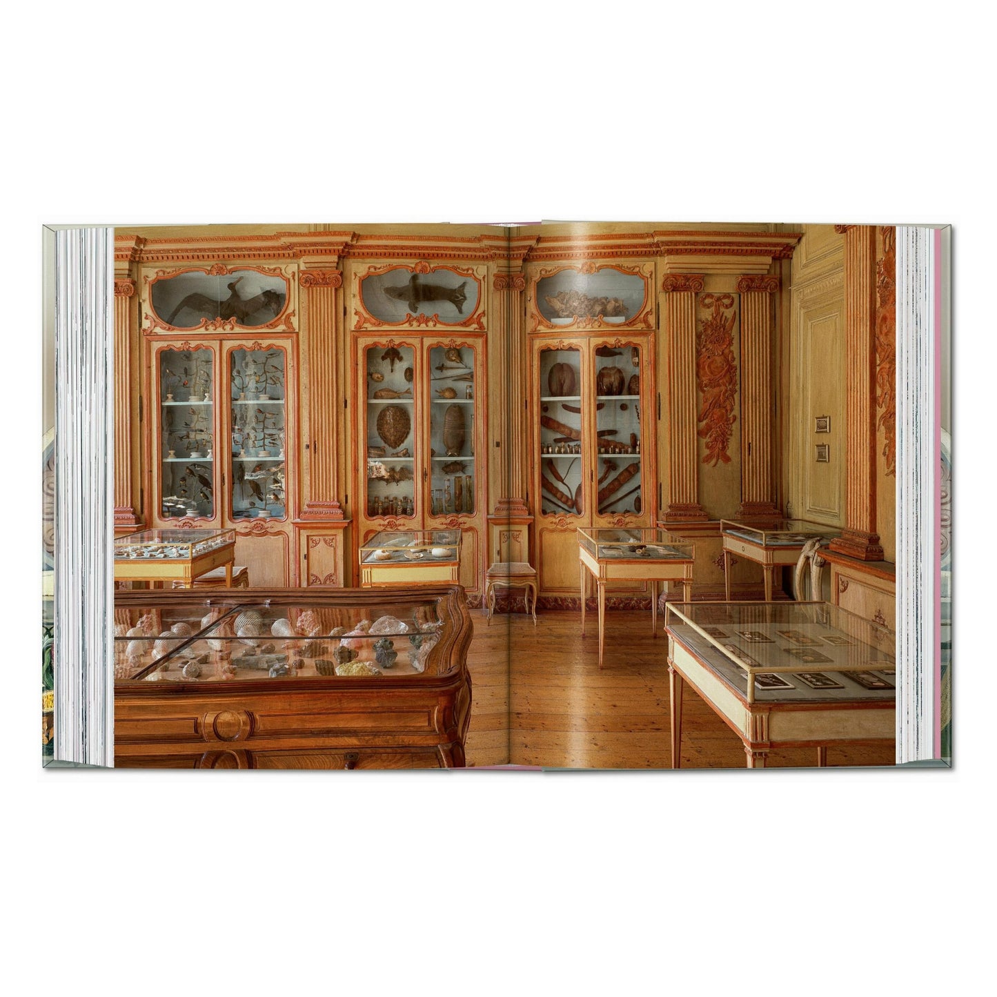 Massimo Listri. Cabinet of Curiosities. 45th Ed. (German, French, English) Book