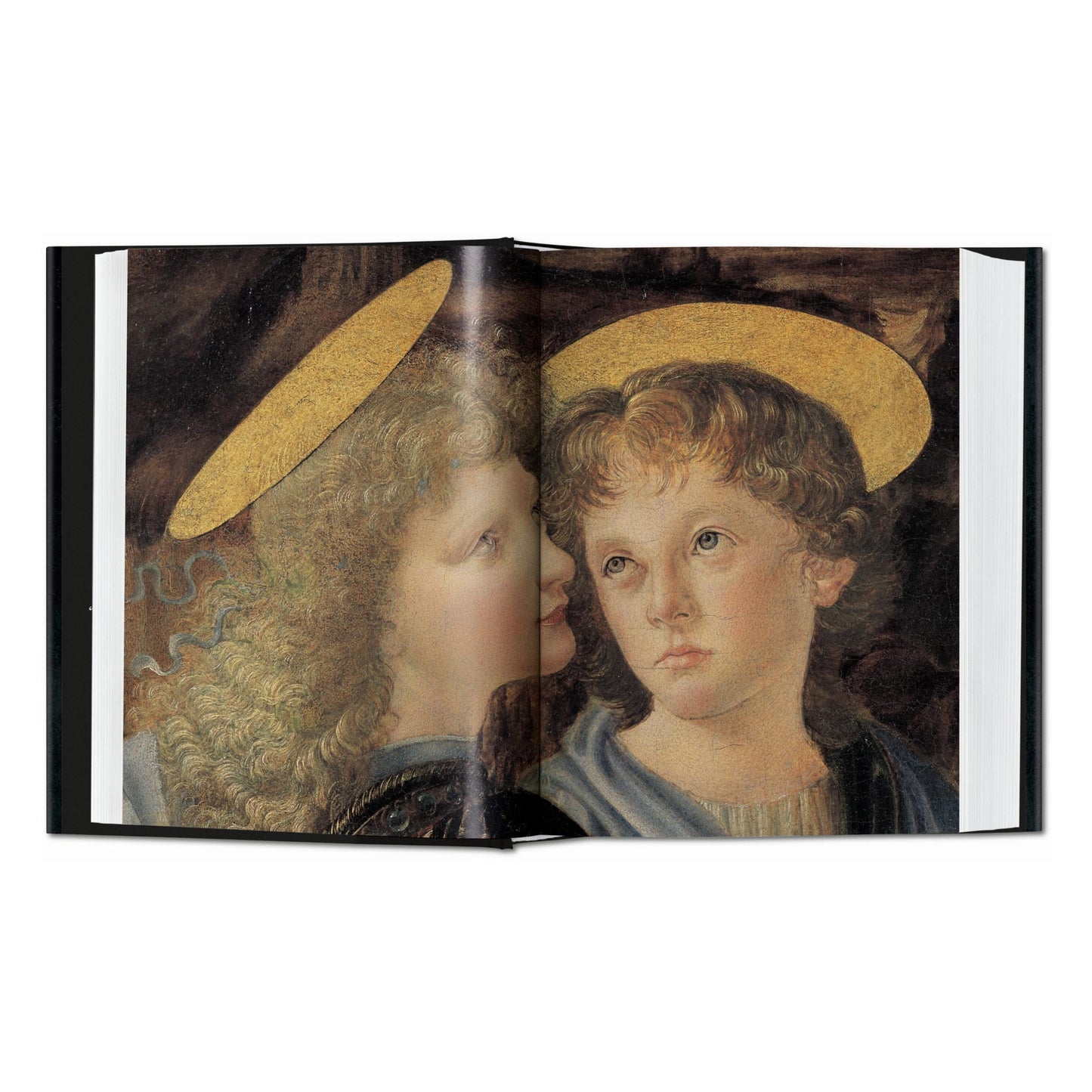 Leonardo. The Complete Paintings. 45th Ed. (English) Book