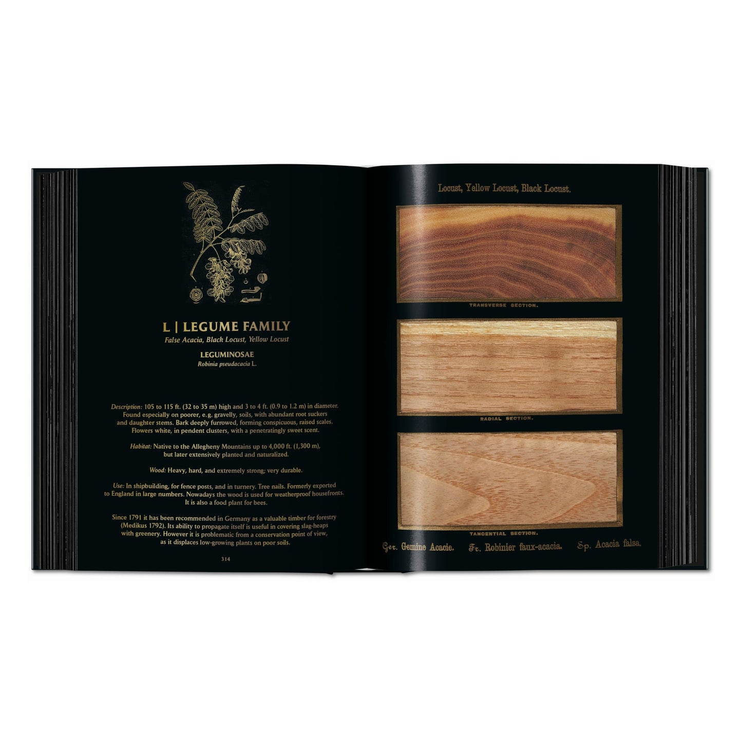 Romeyn B. Hough. The Woodbook. The Complete Plates (English) Book