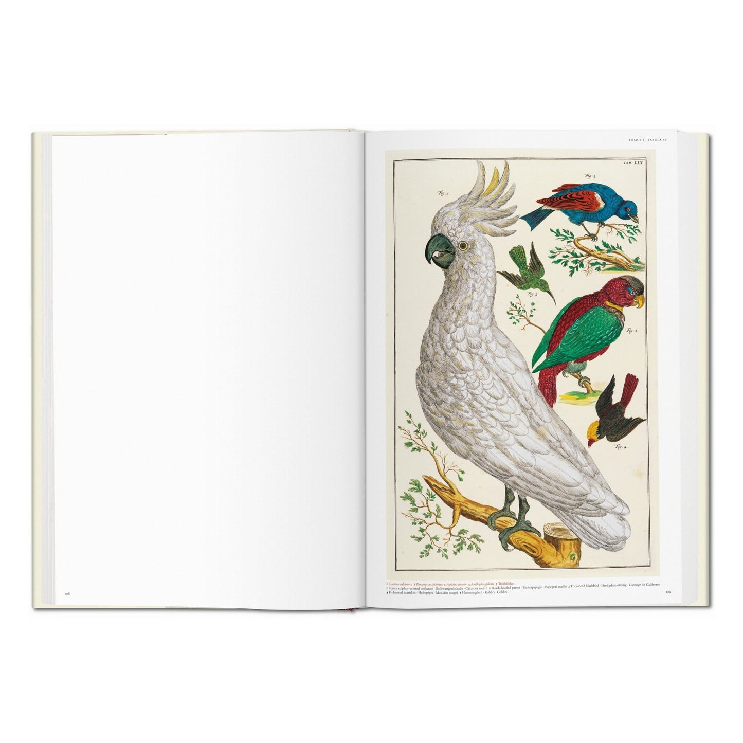 Seba. Cabinet of Natural Curiosities (German, French, English) Book