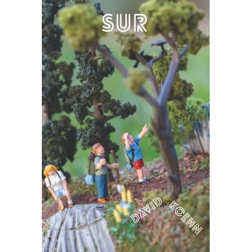 Sur