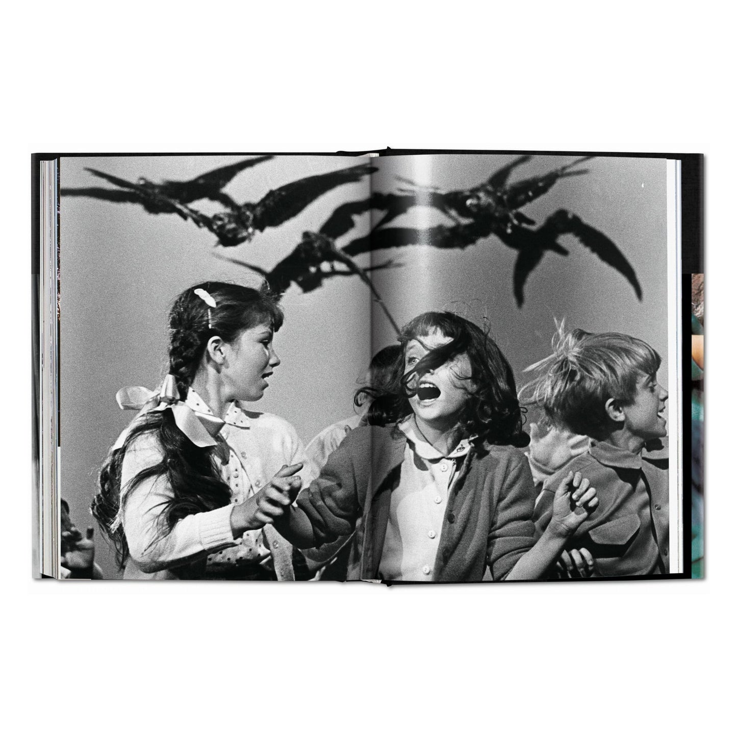 Alfred Hitchcock. The Complete Films (English) Book