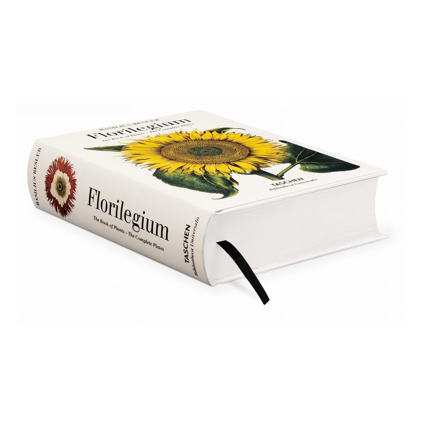 Basilius Besler. Florilegium. The Book of Plants (English) Book