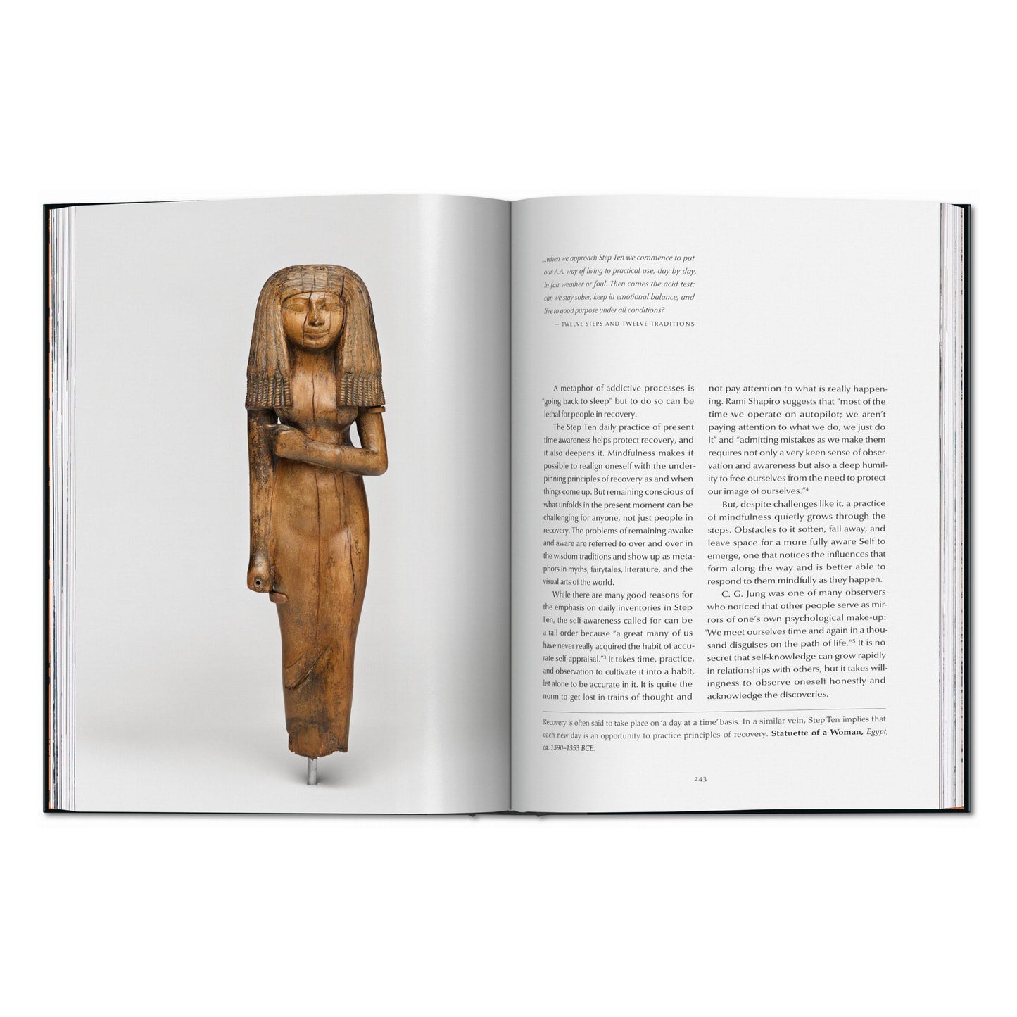 The 12 Steps. Symbols, Myths, and Archetypes of Recovery (English) Book
