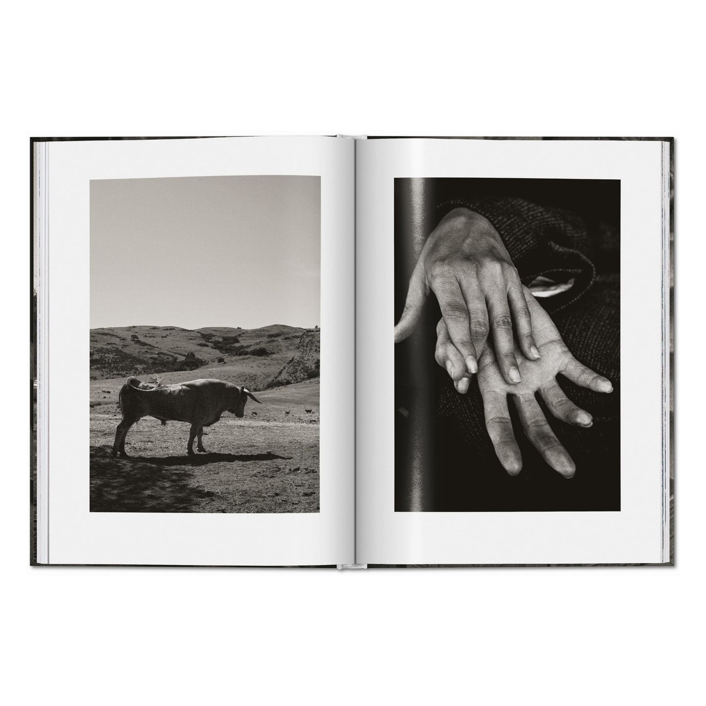 Peter Lindbergh. Untold Stories (English) Book