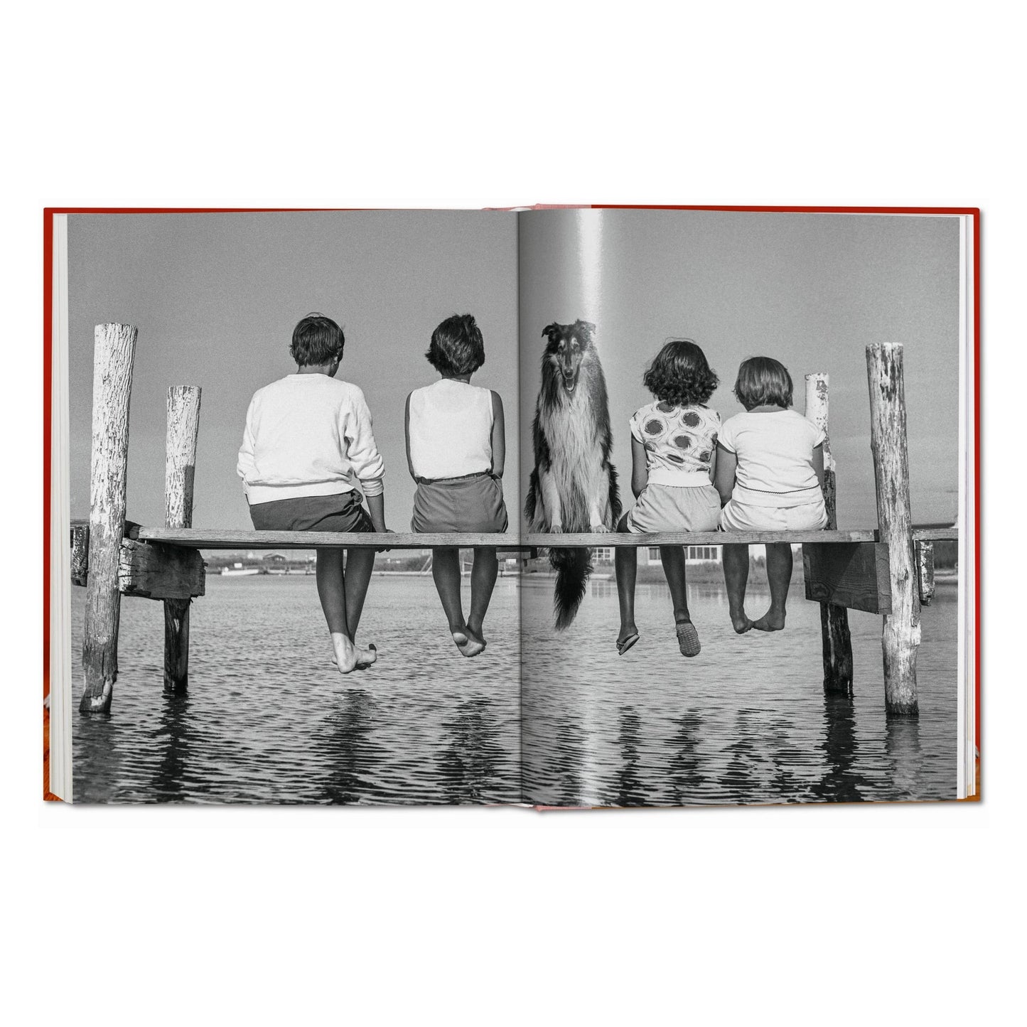Walter Chandoha. Dogs. Photographs 1941–1991 (German, French, English) Book