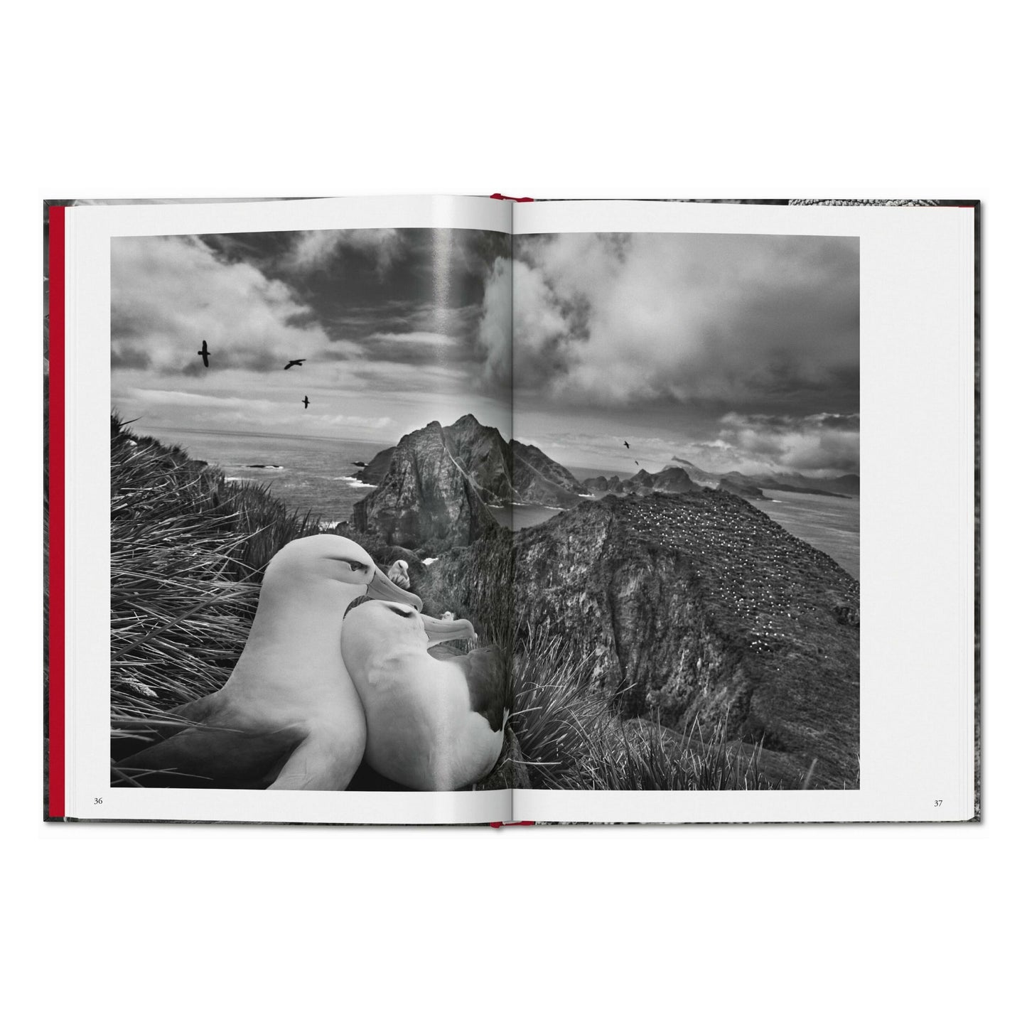 Sebastião Salgado. Genesis (English) Book