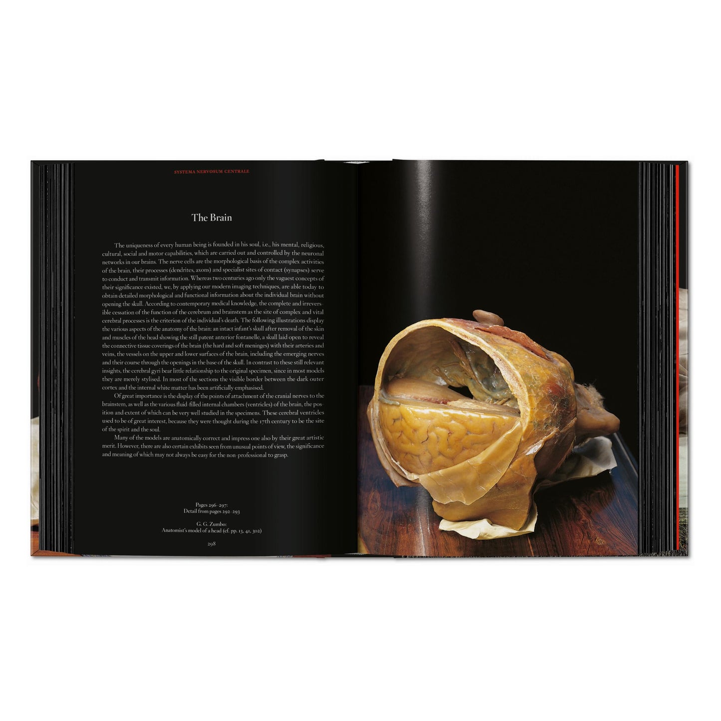 Anatomical Waxes. 45th Ed. (German, French, English) Book