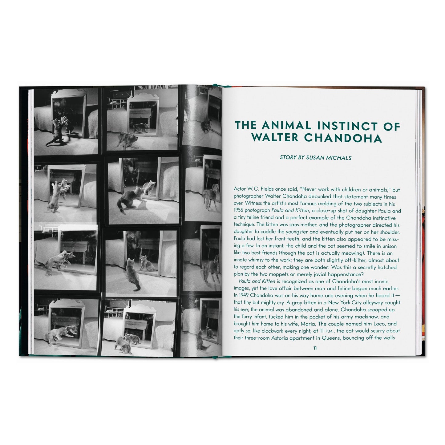Walter Chandoha. Cats. Photographs 1942–2018 (English) Book