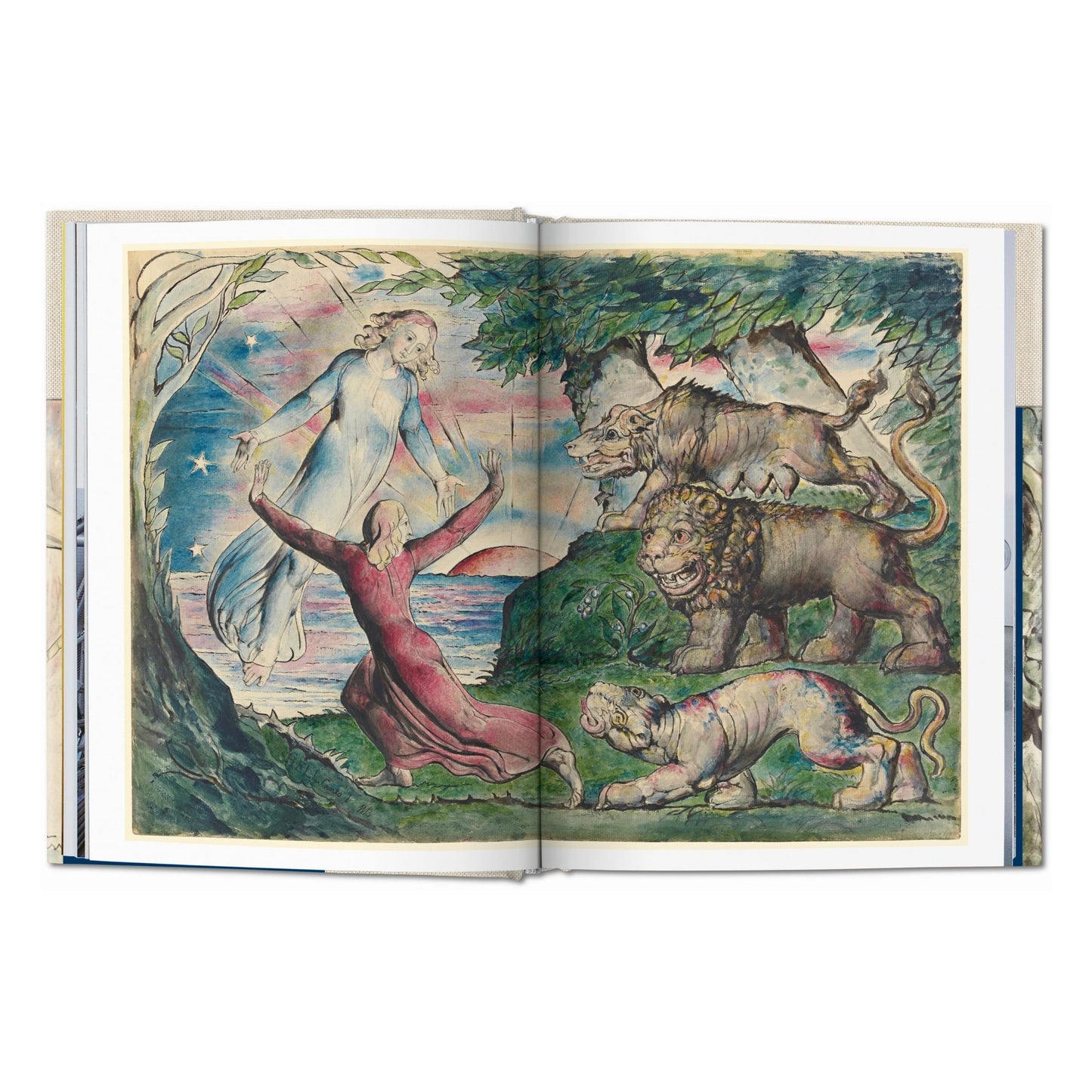 William Blake. Dante’s ‘Divine Comedy’. The Complete Drawings (English) Book