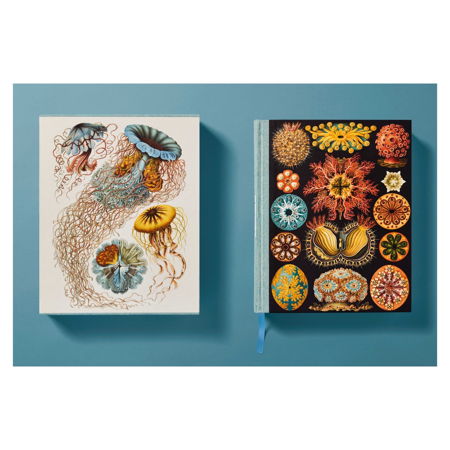 The Art and Science of Ernst Haeckel (German, French, English) Book