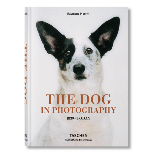 The Dog in Photography 1839–Today (German, French, English) Book