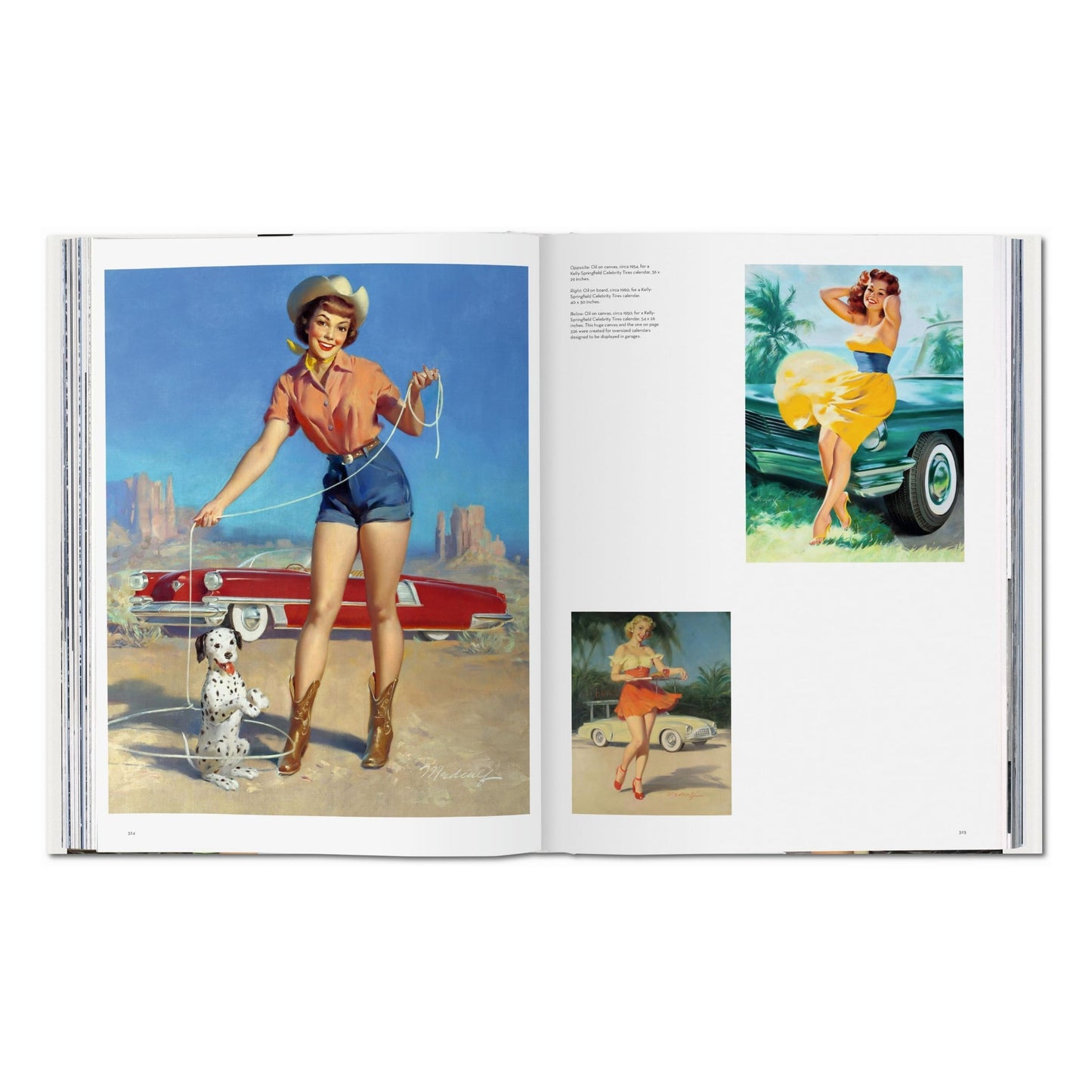 The Art of Pin-up (German, French, English) Book