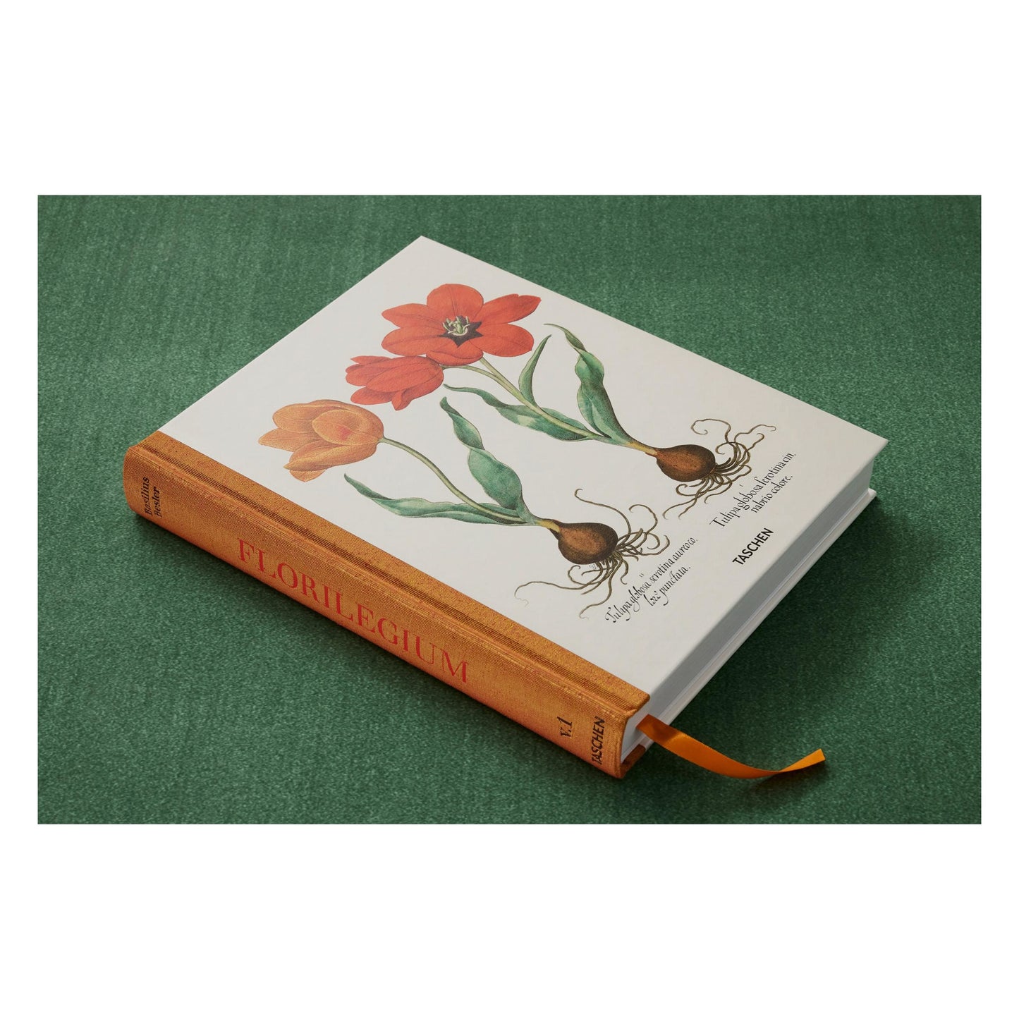 Basilius Besler. The Garden at Eichstätt (German, French, English) (FFE) Book