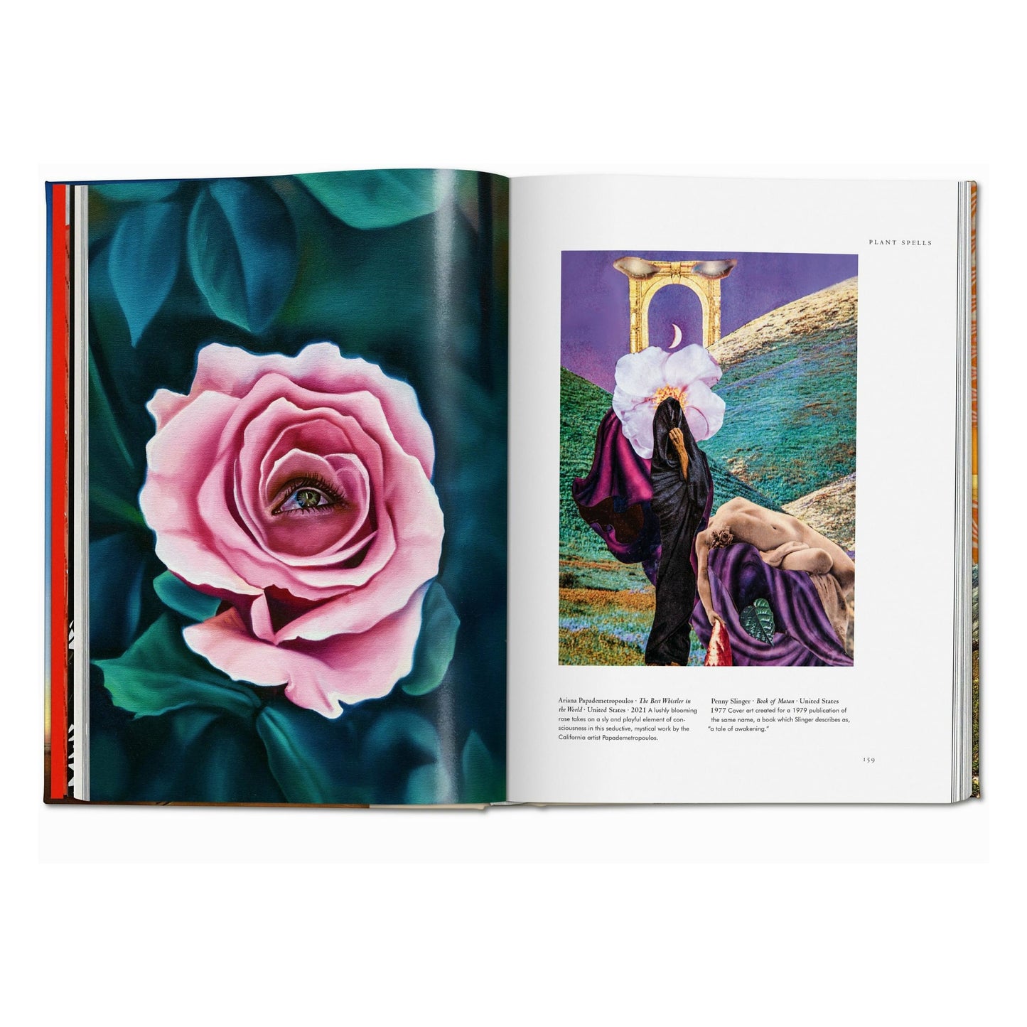 Plant Magick. The Library of Esoterica (English) Book