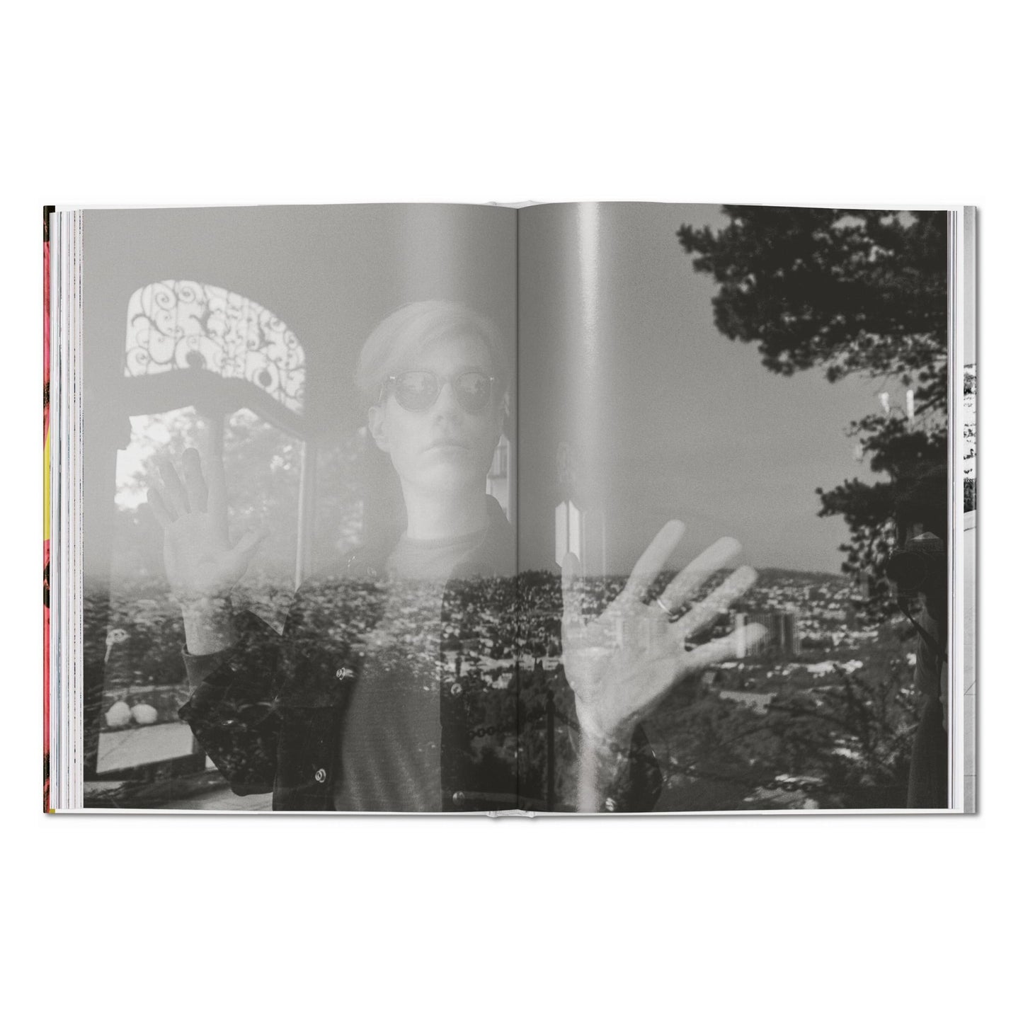Steve Schapiro. Andy Warhol and Friends (English) Book